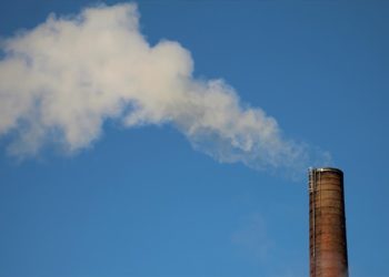 Karbon piyasası Türkiye’nin yeşil dönüşüm sürecinde kilit rol oynayacak