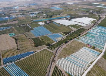Elazığ’da üzüm bağları mavi beyaz örtüyle kaplandı