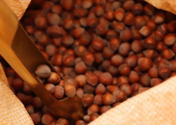 Türkiye'den iki ayda 358 milyon dolarlık fındık ihracatı gerçekleştirildi