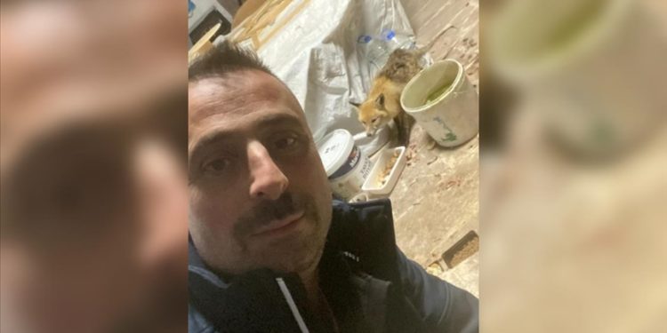 Erzurum'da bir köylü, kar yüzünden aç kalınca köye inen tilkiyi tavuk ve pudingle doyurdu