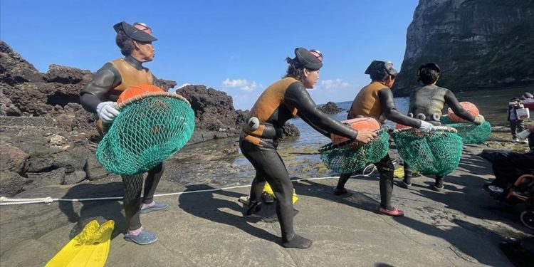 Güney Kore'nin 80 yaş üstü "deniz kadınları" geçimlerini derin sulara dalarak sağlıyor