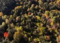 Atatürk Arboretumu'nda sonbahar renkleri