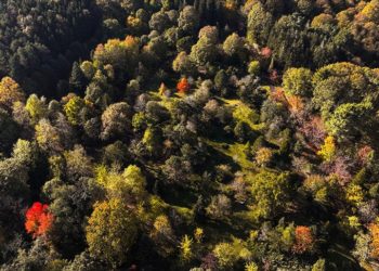 Atatürk Arboretumu'nda sonbahar renkleri