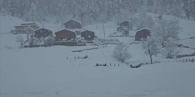 Rize, Artvin ve Bayburt’ta kar yağışı etkili oluyor