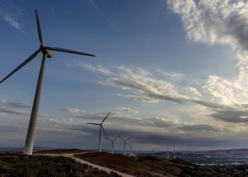 Net sıfır emisyon hedefinde “yenilenebilir enerji” öne çıkıyor