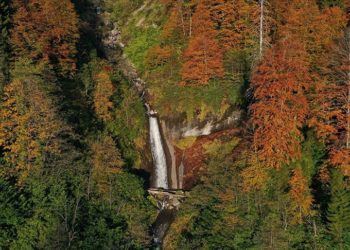 Borçka Karagöl Tabiat Parkı 10 ayda 550 bin ziyaretçiyi ağırladı