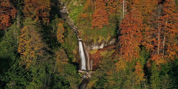 Borçka Karagöl Tabiat Parkı 10 ayda 550 bin ziyaretçiyi ağırladı