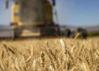 Tarımsal girdi fiyat endeksi eylülde aylık yüzde 2,63, yıllık yüzde 40,97 arttı