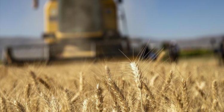 Tarımsal girdi fiyat endeksi eylülde aylık yüzde 2,63, yıllık yüzde 40,97 arttı