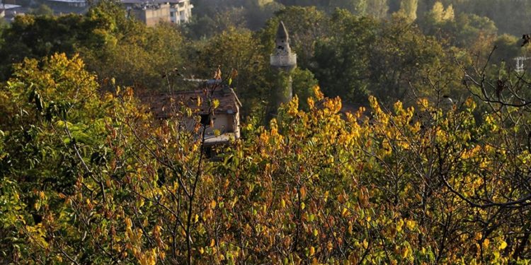 Malatya'da sonbahar renkleri hakim oldu