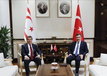 Cumhurbaşkanı Yardımcısı Yılmaz, KKTC Başbakanı Üstel ile görüştü