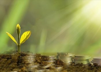 Dünya Bankasından 155 milyon dolarlık yeşil dönüşüm kredisine onay