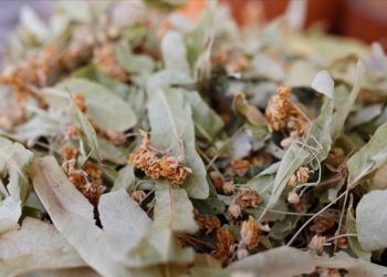 Kış çayları açıkta satılmamalı