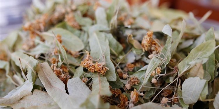 Kış çayları açıkta satılmamalı