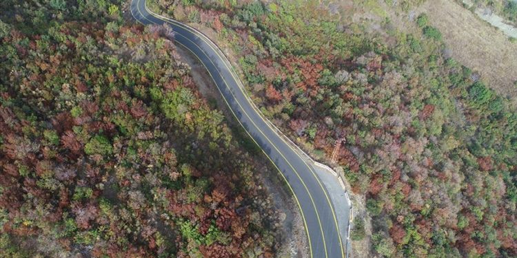 Ganos Dağı eteklerindeki ormanlarda sonbahar renkleri hakim oldu