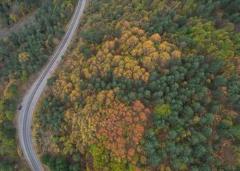 Kastamonu ormanlarında sonbaharın renkleri hakim oluyor