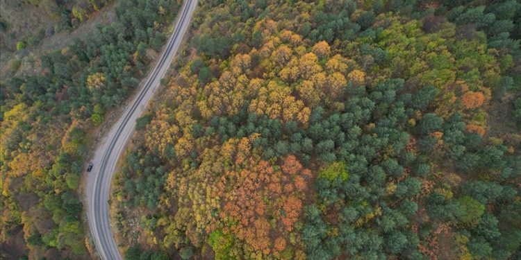 Kastamonu ormanlarında sonbaharın renkleri hakim oluyor