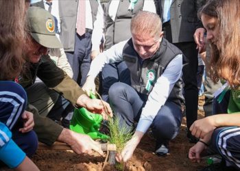 İstanbul Valiliğinin etkinliğiyle Beykoz'da yanan ormanlık alana fidan dikildi