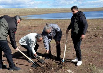 Kars’taki Asboğa Gölü çevresine yaban kuşları için 100 fidan dikildi