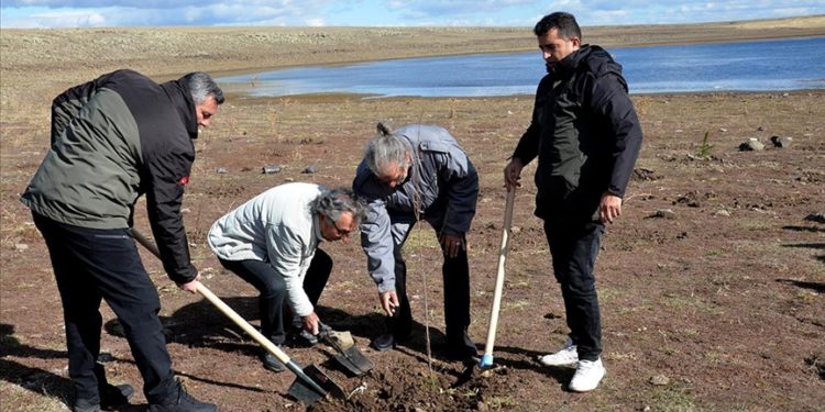 Kars’taki Asboğa Gölü çevresine yaban kuşları için 100 fidan dikildi