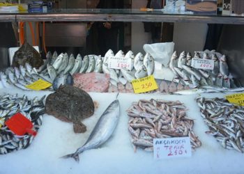 Düzce'de balıkçılar palamut sezonunu kapattı