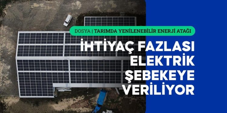 Kastamonu’da sarımsak fabrikasının enerjisi güneşten karşılanıyor