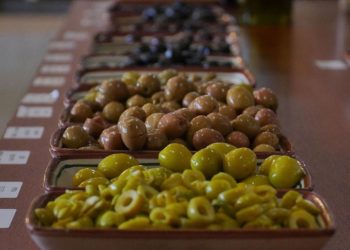 Zeytinin "yok yılı"ndan "var yılı"na zeytinyağı stoku fazlasıyla gidilecek