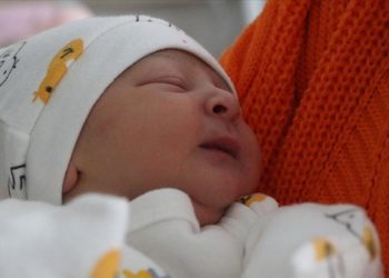Yalova’da dünyaya gelen bebeklerin kimlikleri adreslerine gönderiliyor