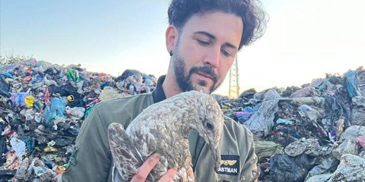 Çöplükten kurtardığı martıyı evinde sağlığına kavuşturdu