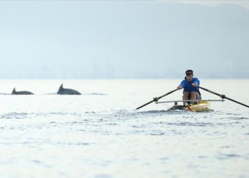 Bursa’da antrenman yapan kürek takımına yunuslar eşlik etti