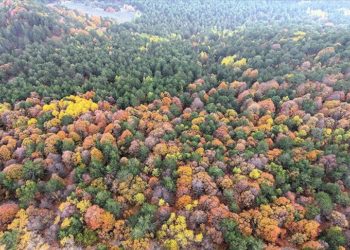 Balıkesir'in 1764 rakımlı Ulus Dağı'ndaki sonbahar renkleri dronla görüntülendi