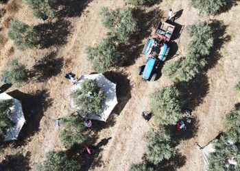 Bitkisel üretim desteklemelerinin uygulama esasları düzenlendi