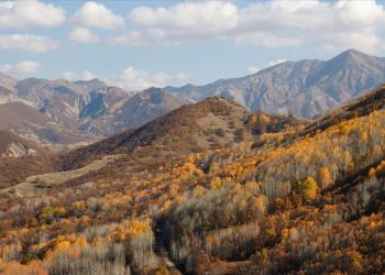 Güz renklerine bürünen Salördek ormanları turizme katkı sağlıyor