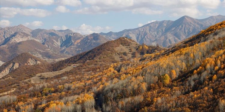 Güz renklerine bürünen Salördek ormanları turizme katkı sağlıyor