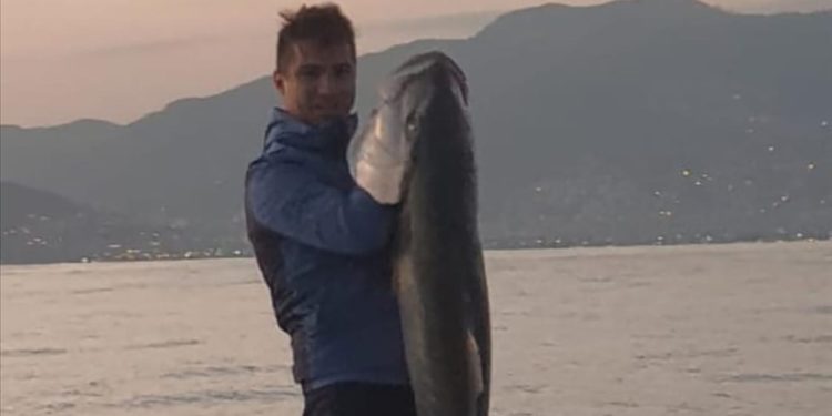 Alanya'da amatör balıkçı, olta ile 1 metre 60 santimetre uzunluğunda Akya tuttu