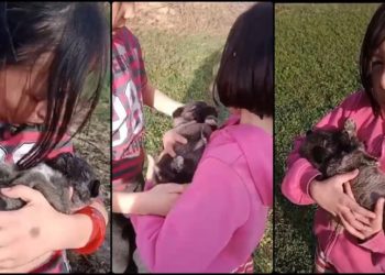 Sivas'ta minik ikizler, inek otlatırken buldukları köpek yavrusunu sahiplendi