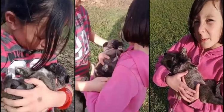 Sivas'ta minik ikizler, inek otlatırken buldukları köpek yavrusunu sahiplendi