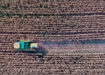 Çiftçilere yaklaşık 169 milyon liralık tarımsal destekleme ödemesi bugün yapılacak