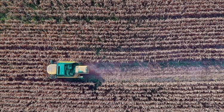 Çiftçilere yaklaşık 169 milyon liralık tarımsal destekleme ödemesi bugün yapılacak