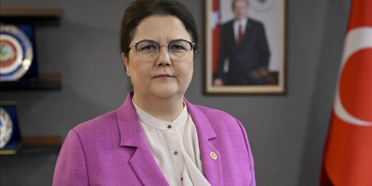 Meclis İnsan Hakları Komisyonu Gazze ziyareti için Mısır’dan tarih bekliyor