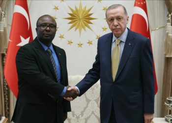 Tanzanya Büyükelçisi Bakari ile Kamboçya Büyükelçisi Sok, Cumhurbaşkanı Erdoğan'a güven mektubu sundu