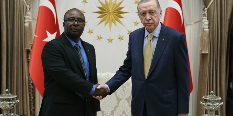 Tanzanya Büyükelçisi Bakari ile Kamboçya Büyükelçisi Sok, Cumhurbaşkanı Erdoğan'a güven mektubu sundu