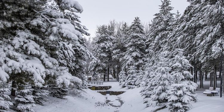 Erzurum'un Atatürk Üniversitesi Kampüsü'nde kış güzelliği
