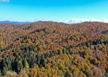 Andırın yaylalarında sonbahar renkleri hakim oldu