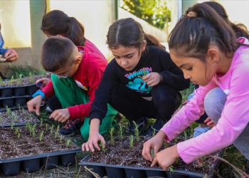 Üstün yetenekli çocuklar seralarda çiçek ile tıbbi ve aromatik bitkiler yetiştiriyor