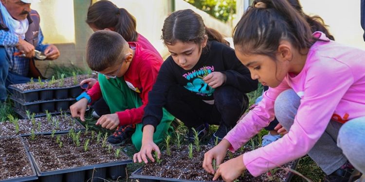 Üstün yetenekli çocuklar seralarda çiçek ile tıbbi ve aromatik bitkiler yetiştiriyor