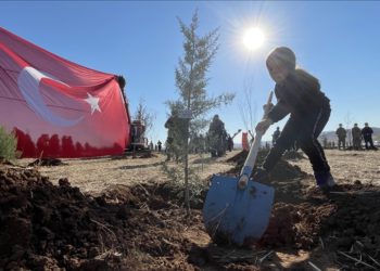 Milli Ağaçlandırma Günü etkinliklerinde dikilen fidanlar toprağa kök salıyor