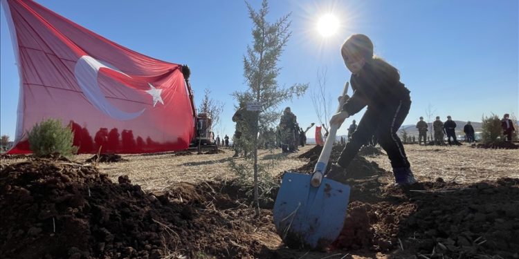 Milli Ağaçlandırma Günü etkinliklerinde dikilen fidanlar toprağa kök salıyor