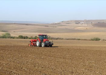 Tekirdağ'da çiftçilerin buğday ekim mesaisi başladı