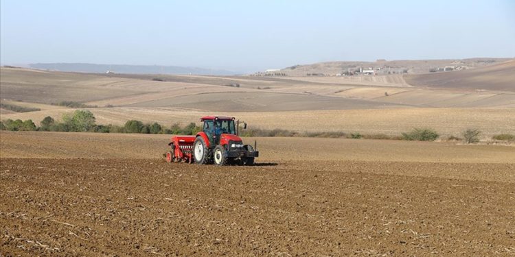 Tekirdağ'da çiftçilerin buğday ekim mesaisi başladı